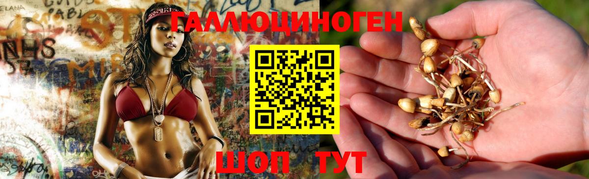 Псилоцибиновые грибы мухоморы Осинники
